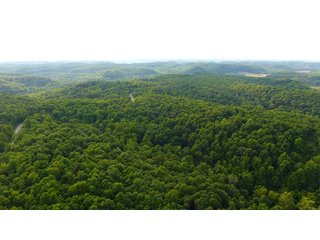 Property photo 60 - LAND AUCTION - 1,050+/- ACRES OFFERED IN 21 TRACTS PLUS 450+/- ACRE HUNTING LEASE IN MUSKINGUM COUNTY, OHIO